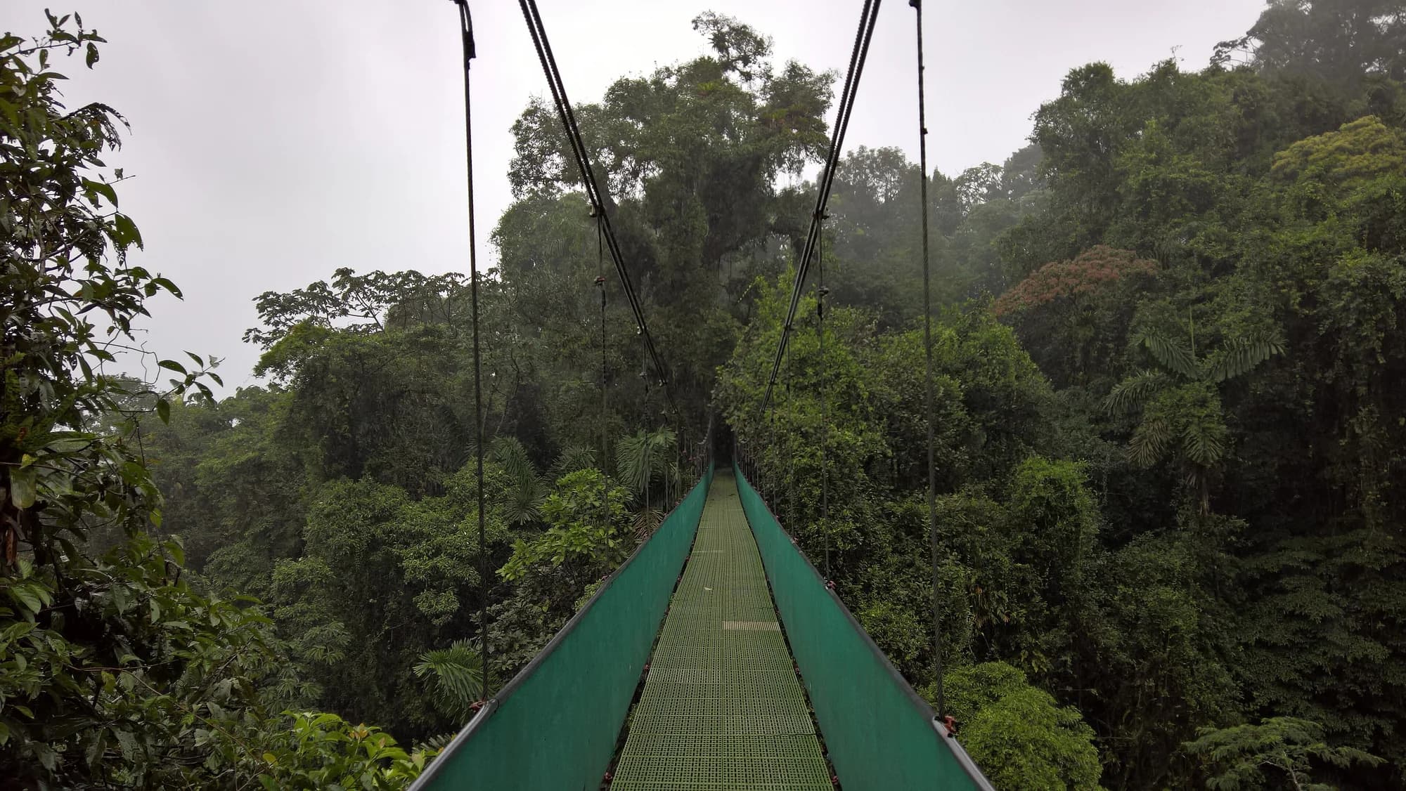 Hängebrücke im Regenwald von La Fortuna, Costa Rica