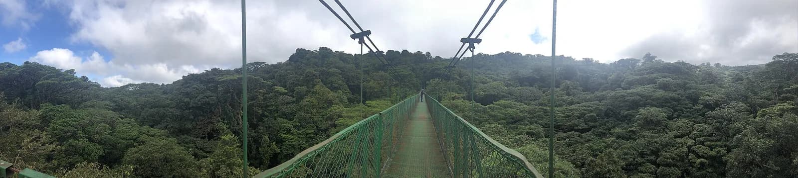 Hängebrücken durch den Nebelwald von Monteverde, Costa Rica