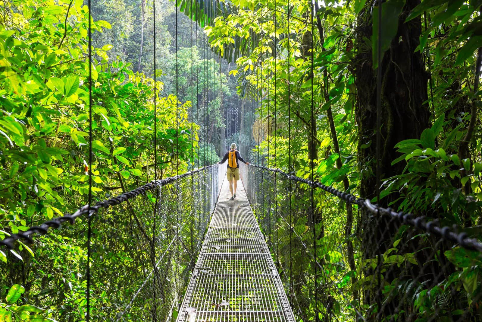 Vive Costa Rica: La Fortuna & Jacó