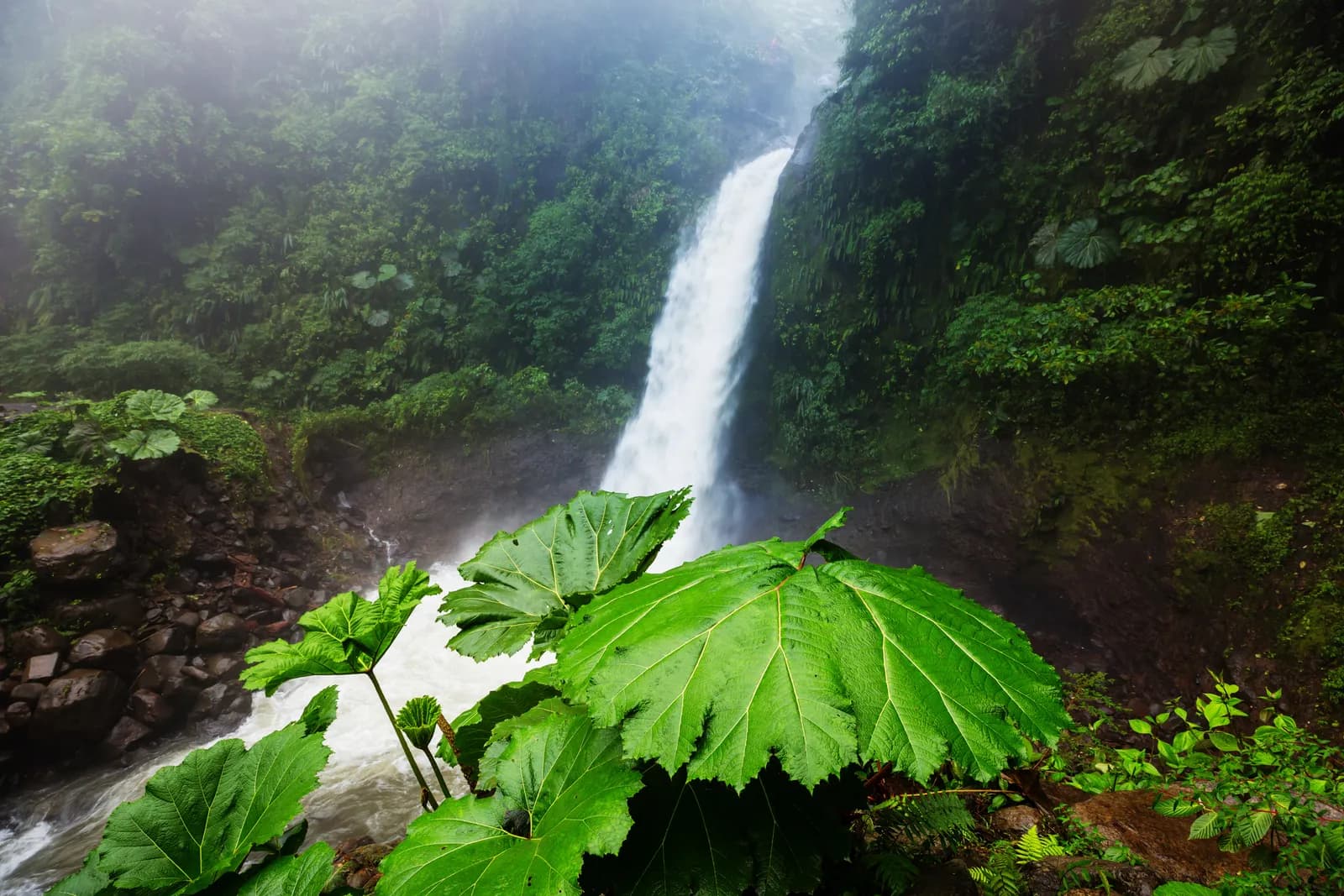 Poás Volcano & La Paz Waterfall Gardens